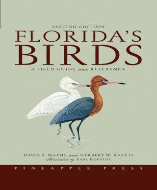 Könyv Florida's Birds David S. Maehr
