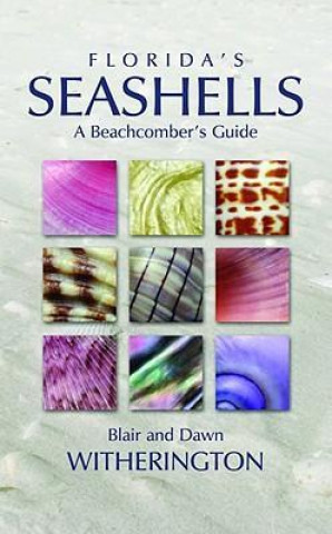 Kniha FLORIDAS SEASHELLS A BEACHCOMPB Blair Witherington