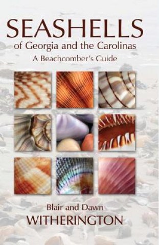 Książka Seashells of Georgia and the Carolinas Blair Witherington