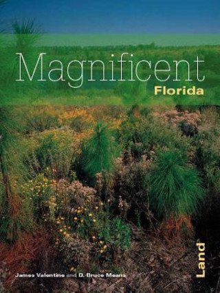 Carte Florida's Magnificent Land James Valentine