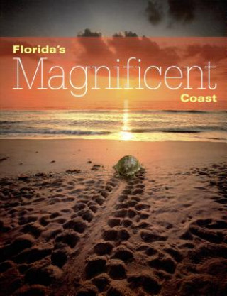 Könyv Florida's Magnificent Coast James Valentine