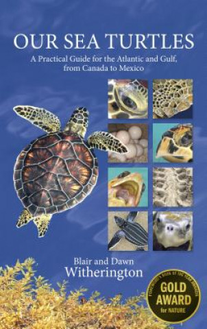 Könyv Our Sea Turtles Blair Witherington