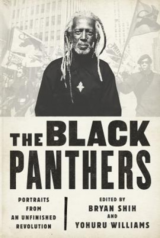 Könyv Black Panthers Bryan Shih