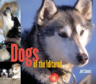 Książka Dogs of the Iditarod Jeff Schultz