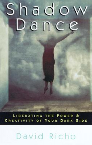 Книга Shadow Dance David Richo