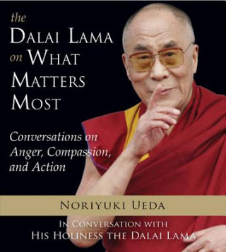 Kniha The Dalai Lama on What Matters Most Noriyuki Ueda