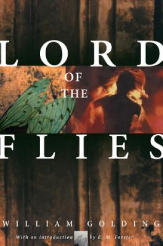 Книга Lord of the Flies William Golding