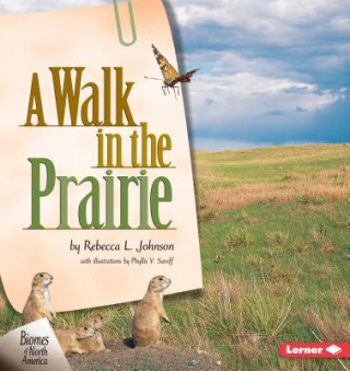 Könyv A Walk in the Prairie Rebecca L. Johnson