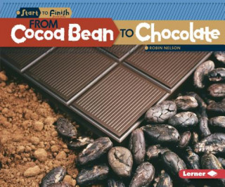 Kniha From Cocoa Bean to Chocolate Robin Nelson