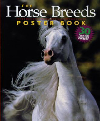 Kniha The Horse Breeds Poster Book Bob Langrish