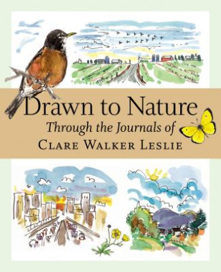 Book Drawn to Nature Through the Journals of Clare Walker Leslie Clare Walker Leslie