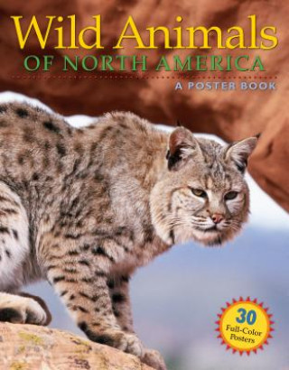 Kniha Wild Animals of North America Karl Meyer