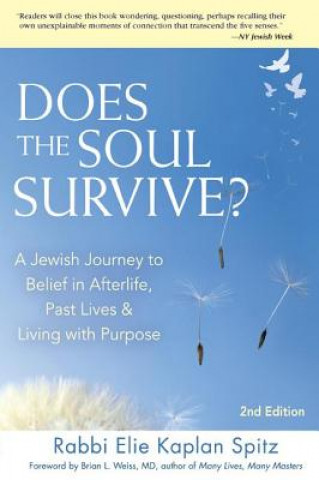 Kniha Does the Soul Survive? Elie Kaplan Spitz