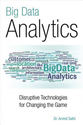 Knjiga Big Data Analytics Arvind Sathi