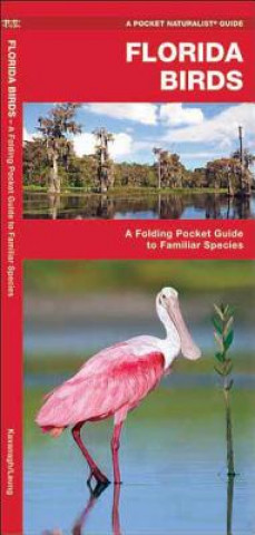 Knjiga Florida Birds James Kavanagh
