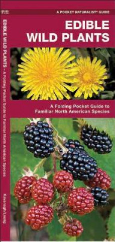 Kniha Edible Wild Plants James Kavanagh