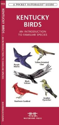 Kniha Kentucky Birds James Kavanagh