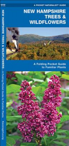 Kniha New Hampshire Trees & Wildflowers James Kavanagh