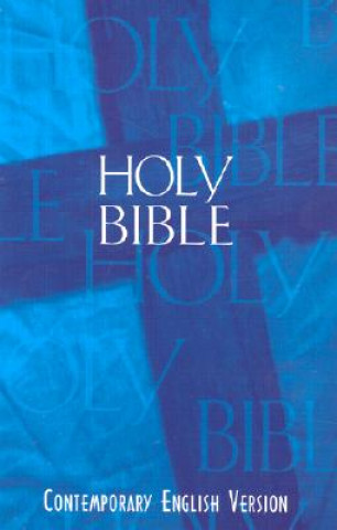 Książka Holy Bible American Bible Society