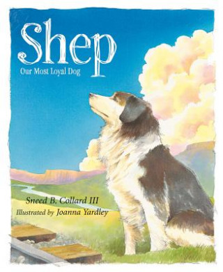 Livro Shep Sneed B. Collard