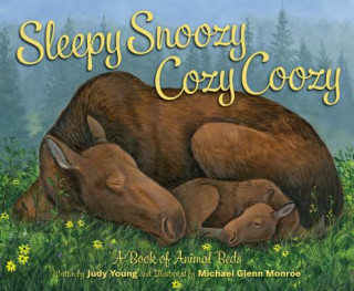 Carte Sleepy Snoozy Cozy Coozy Judy Young