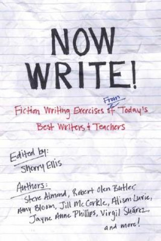 Knjiga Now Write! Sherry Ellis