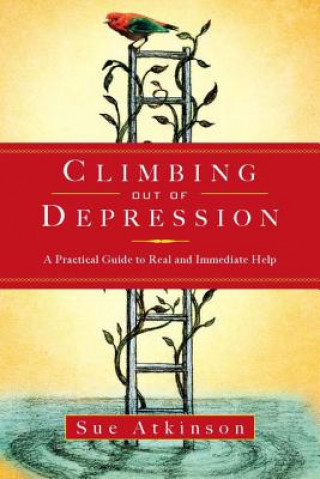 Könyv Climbing Out of Depression Sue Atkinson