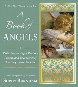Kniha A Book of Angels Sophy Burnham
