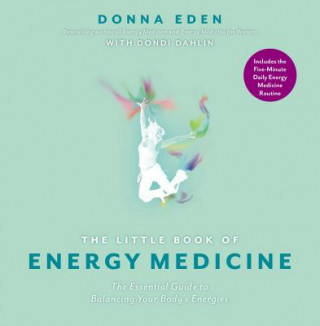 Kniha The Little Book of Energy Medicine Donna Eden