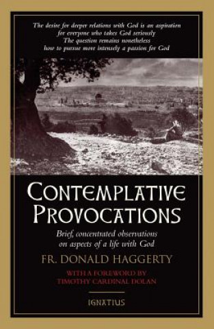 Knjiga Contemplative Provocations Donald Haggerty