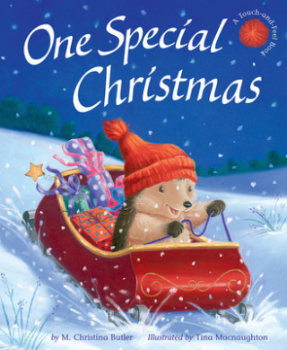 Kniha One Special Christmas M. Christina Butler