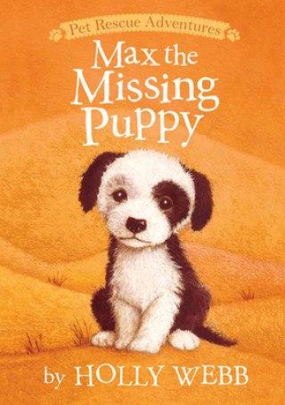 Kniha Max the Missing Puppy Holly Webb