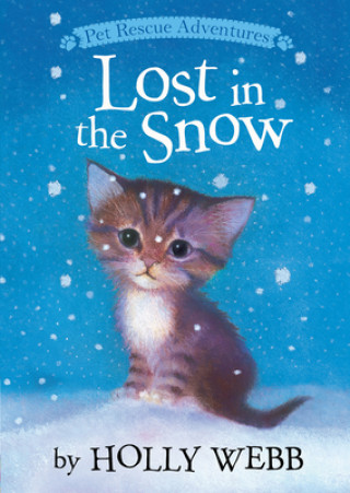 Kniha Lost in the Snow Holly Webb