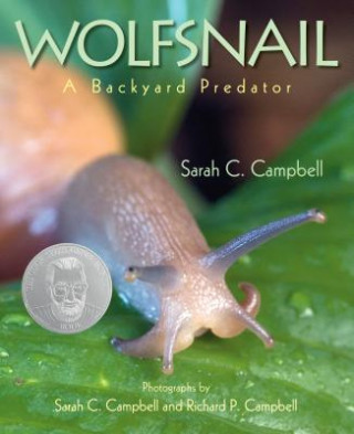 Książka Wolfsnail Sarah C. Campbell