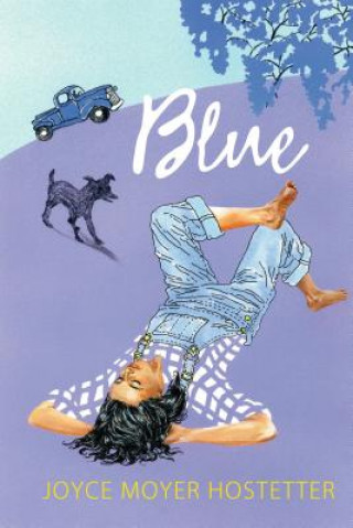 Book Blue Joyce Moyer Hostetter