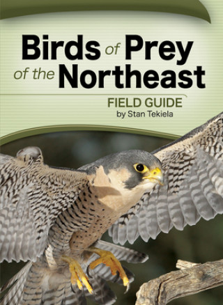 Książka Birds of Prey of the Northeast Field Guide Stan Tekiela