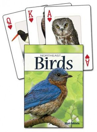 Játék Birds of the Northeast Playing Cards Stan Tekiela