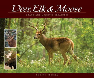 Könyv Deer, Elk & Moose Stan Tekiela