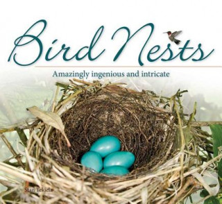 Carte Bird Nests Stan Tekiela