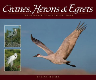 Kniha Cranes, Herons & Egrets Stan Tekiela