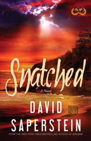 Книга Snatched David Saperstein