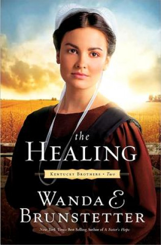 Kniha The Healing Wanda E. Brunstetter