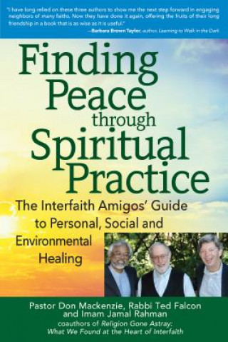 Kniha Finding Peace through Spiritual Practice Don Mackenzie