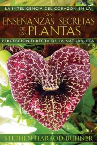 Kniha Las enseńanzas secretas de las plantas / The Secret Teachings of Plants Stephen Harrod Buhner