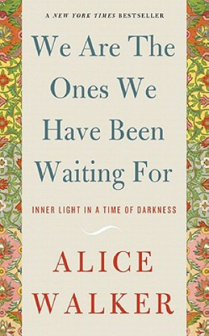 Buch We Are the Ones We Have Been Waiting for Alice Walker