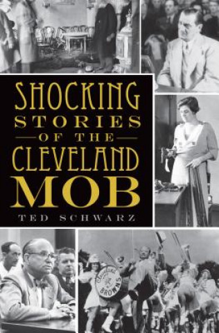 Könyv Shocking Stories of the Cleveland Mob Ted Schwarz