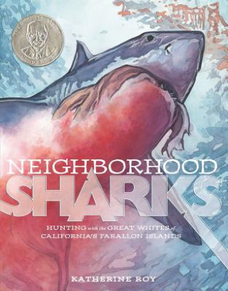 Kniha Neighborhood Sharks Katherine Roy