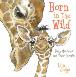 Book Born in the Wild Lita Judge