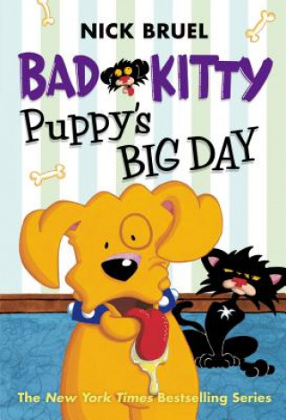 Könyv Puppy's Big Day Nick Bruel
