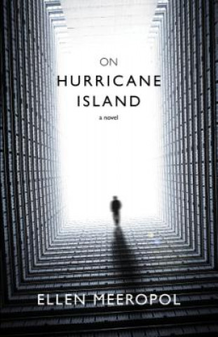 Book On Hurricane Island Ellen Meeropol